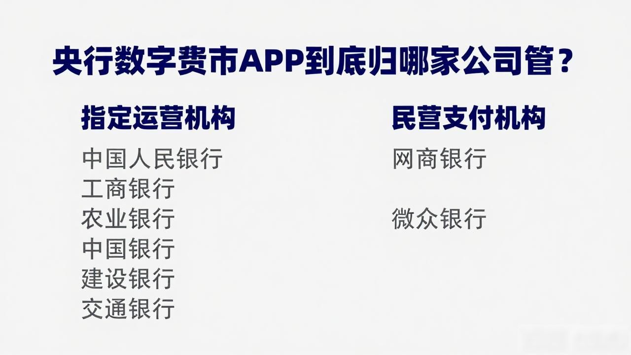 央行数字货币APP到底归哪家公司管？